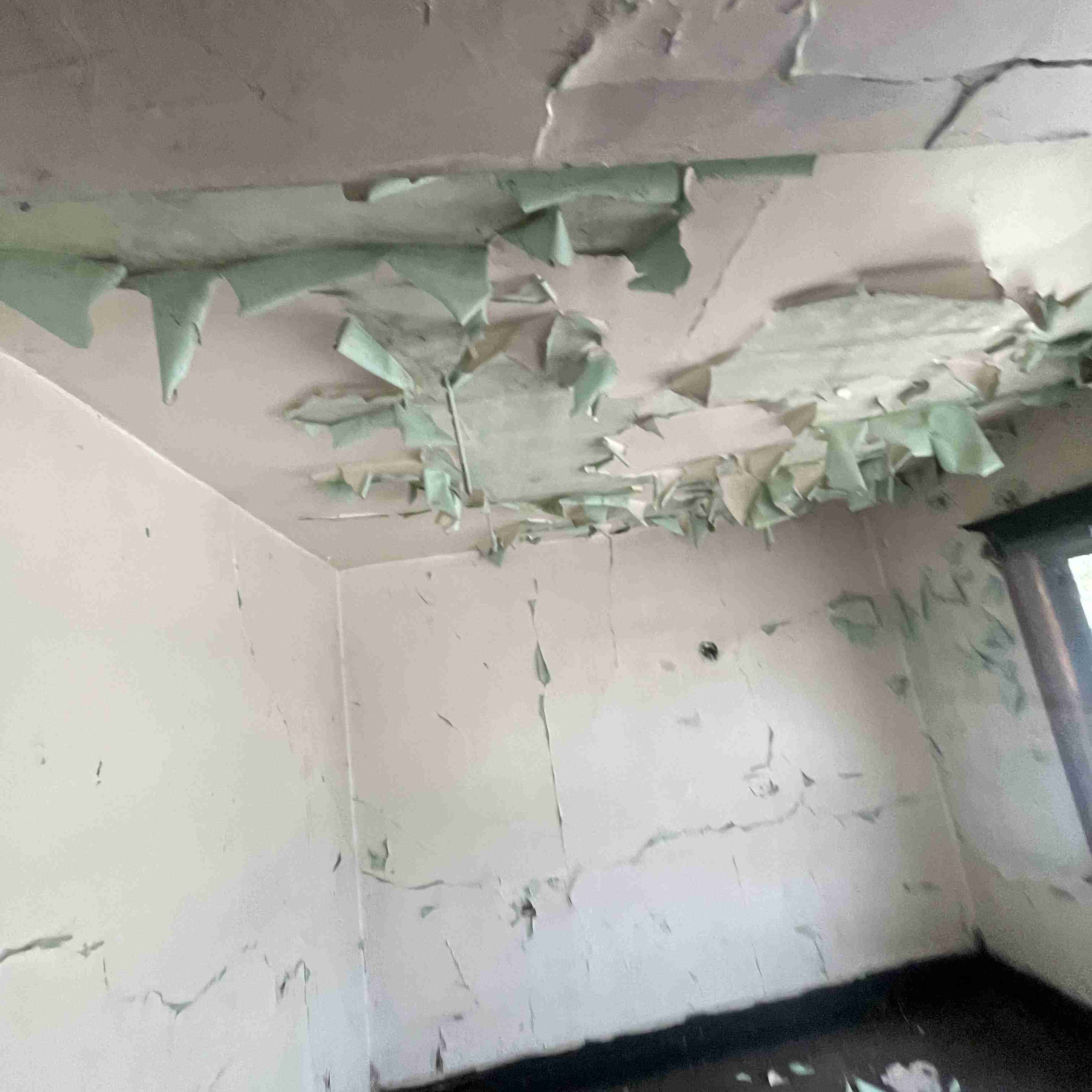 67 Englewood (52).jpg